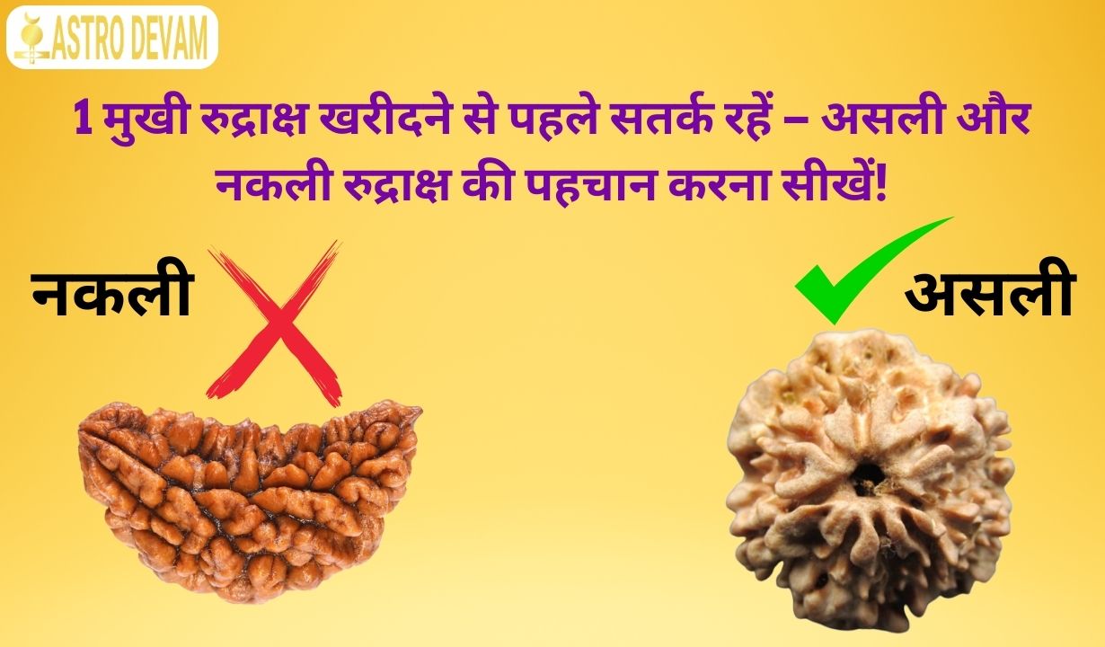 रुद्राक्ष